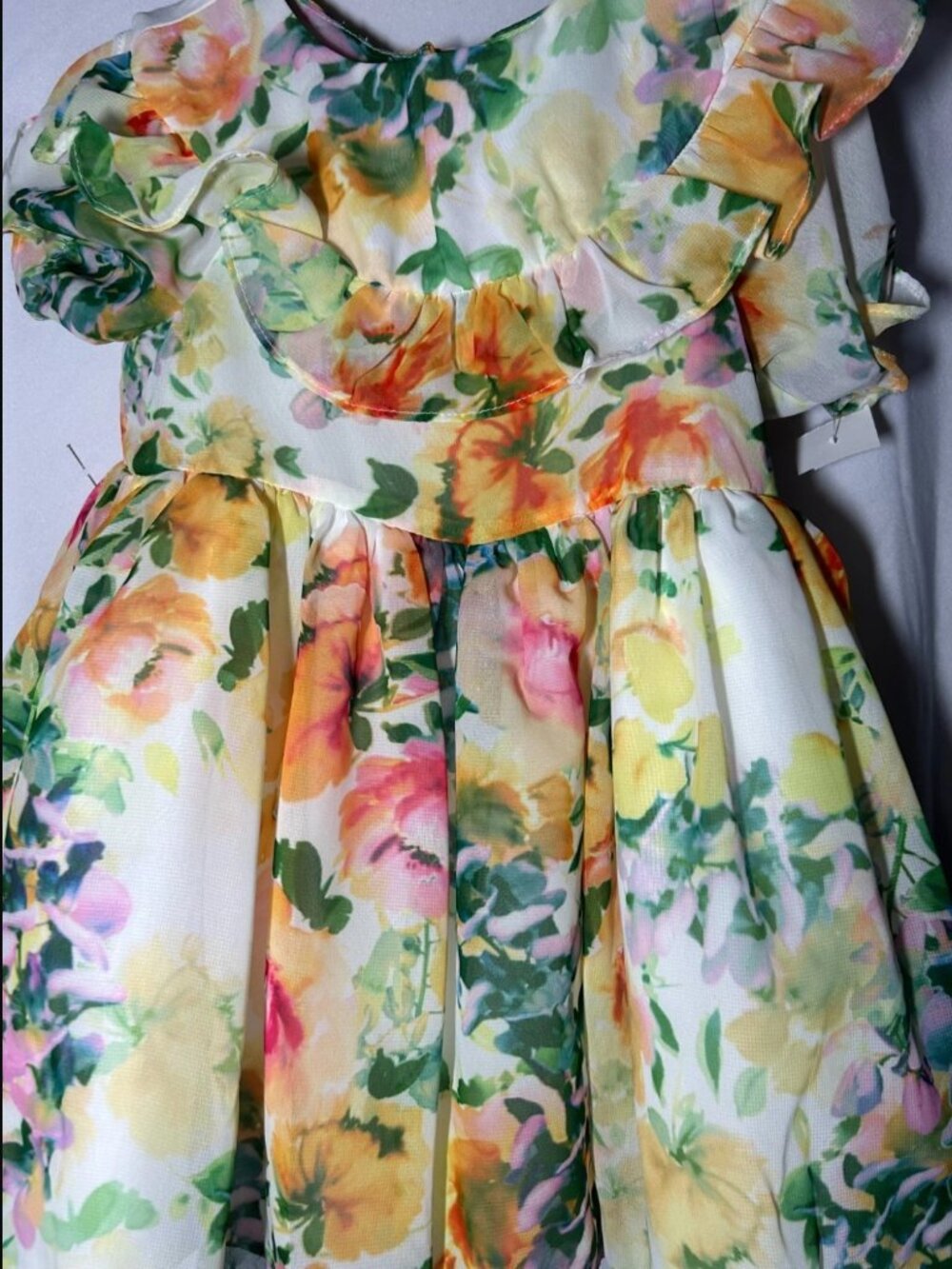 Pastourelle Pippa & Julie Girls 18M Floral Easter Dress Ruffle Chiffon Lined